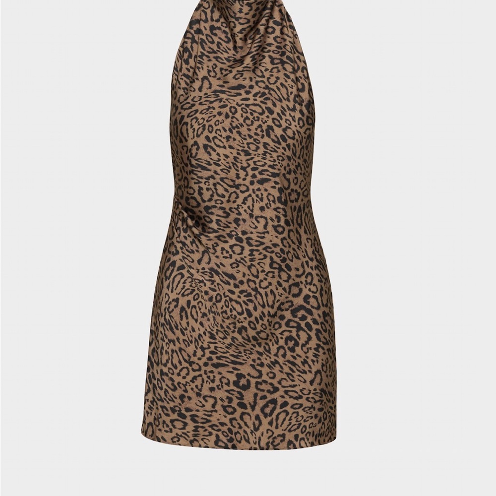 Aritzia Babaton Brown Leopard Backless Dress